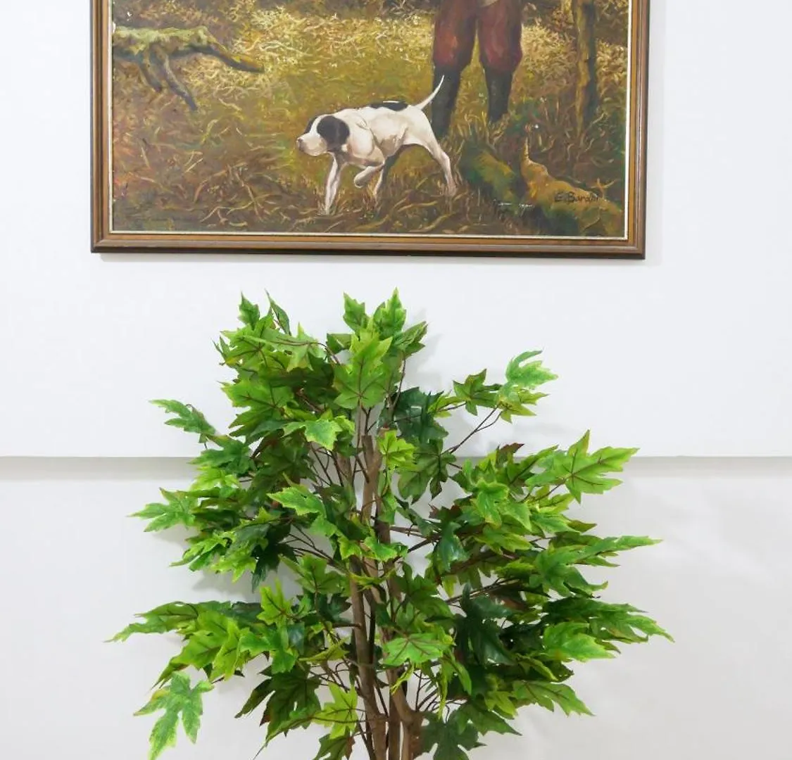 Vila Duro Голем