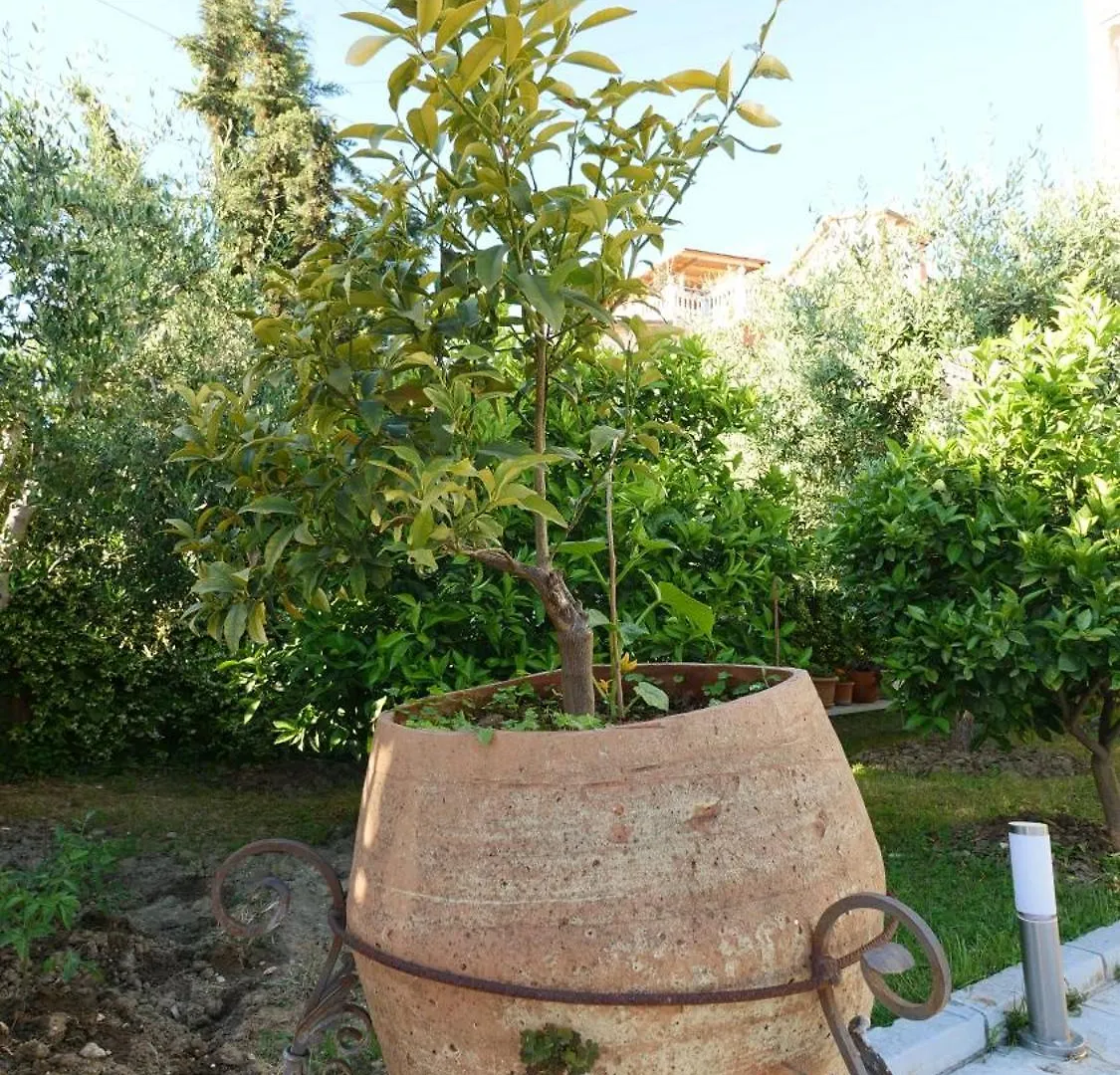 Vila Duro Golem  0*, Golem (Tirana)